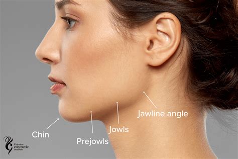 Jaw